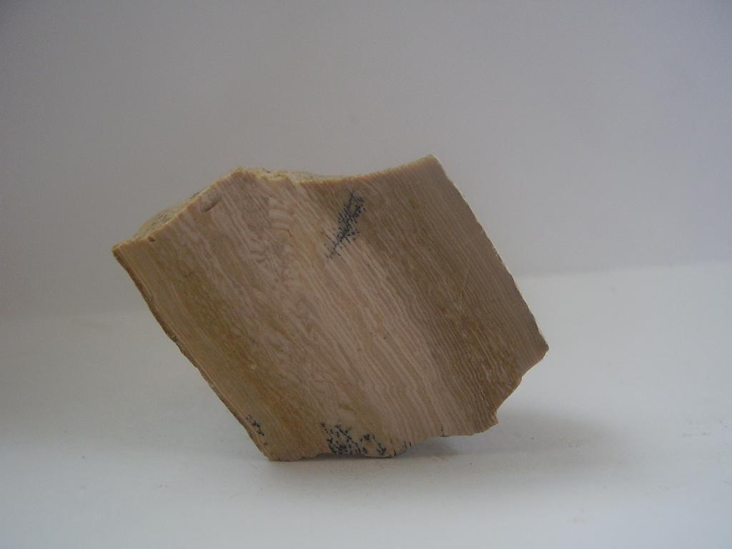 Dřevitý opál11